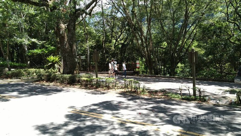 全國疫情警戒27日調降至2級,奧萬大國家森林遊樂區入園上限800人,上午僅有115名遊客入園。(南投林管處提供)中央社記者蕭博陽南投縣傳真 110年7月27日