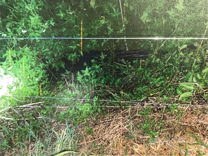 南投縣埔里鎮山區發生移工誤觸果園高壓電網致死意外,1名印尼籍移工疑因未注意到草叢中有高壓電網,誤觸電網後倒地,送醫後仍不治。圖為果園裡的高壓電網。(翻攝照片)中央社記者吳哲豪傳真 110年7月29日
