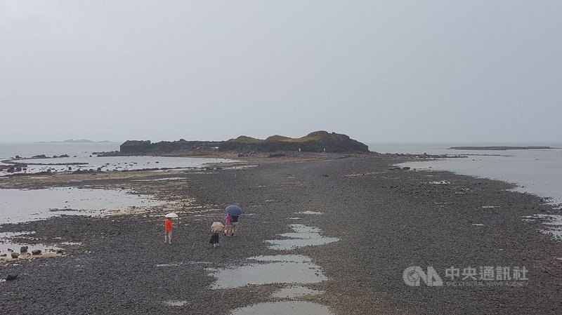 國內COVID-19疫情警戒降至2級,最熱門的澎湖北寮摩西分海步道受到雨勢影響,31日上午退潮時,只見有少部分的遊客在雨中持傘下海體驗,別有一番滋味。中央社 110年7月31日
