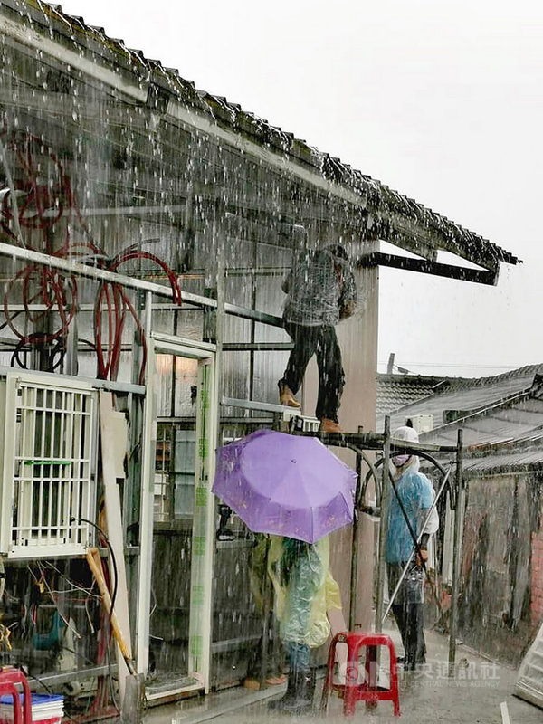 台灣希望義工團為雲林縣鄭小妹一家興建新房,1日冒雨趕工,搭建房屋的鋼骨架構和屋頂。(台灣希望義工團提供)中央社記者姜宜菁傳真 110年8月1日