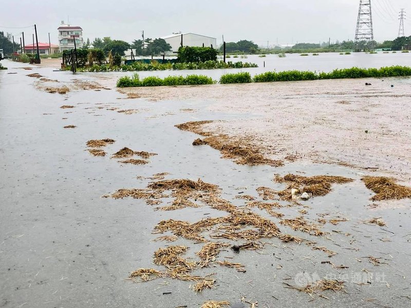 西南風偏強及低壓帶影響,彰化縣線西、伸港、和美等較靠海鄉鎮2日雨勢很大,有農田淹水漫到路面,分不清楚界線,危害行車安全。(彰化縣議員賴清美提供)中央社記者蕭博陽彰化縣傳真 110年8月2日
