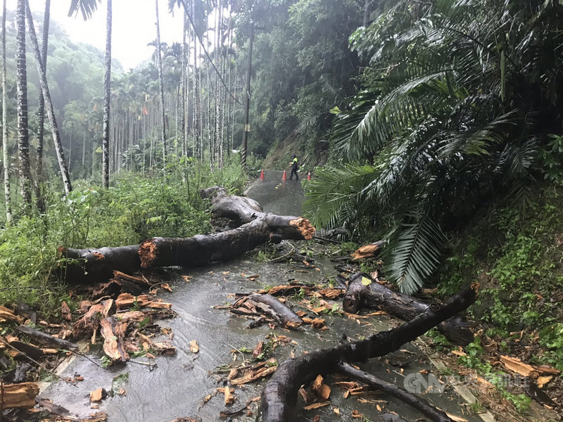 南投縣2日降雨集中南投市、草屯鎮、中寮鄉一帶,中寮鄉出現路樹倒塌阻斷交通情形,有居民因此回不了家上網求助。(草屯警分局提供)中央社記者蕭博陽南投傳真 110年8月2日
