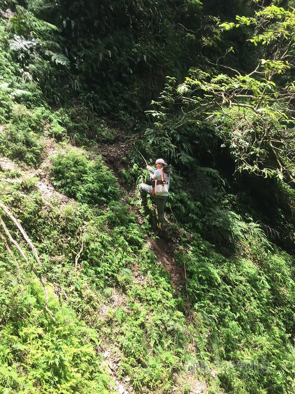 花蓮縣原住民行政處表示,原住民保留地禁伐補償自民國105年開始實施,在縣府與各鄉鎮市公所共同努力下,累計已發放超過新台幣4億5000萬元補償金,若遇申請的土地偏僻,檢測人員得攀爬陡峭岩壁才能到達。(花蓮縣政府提供)中央社記者李先鳳傳真 110年8月2日