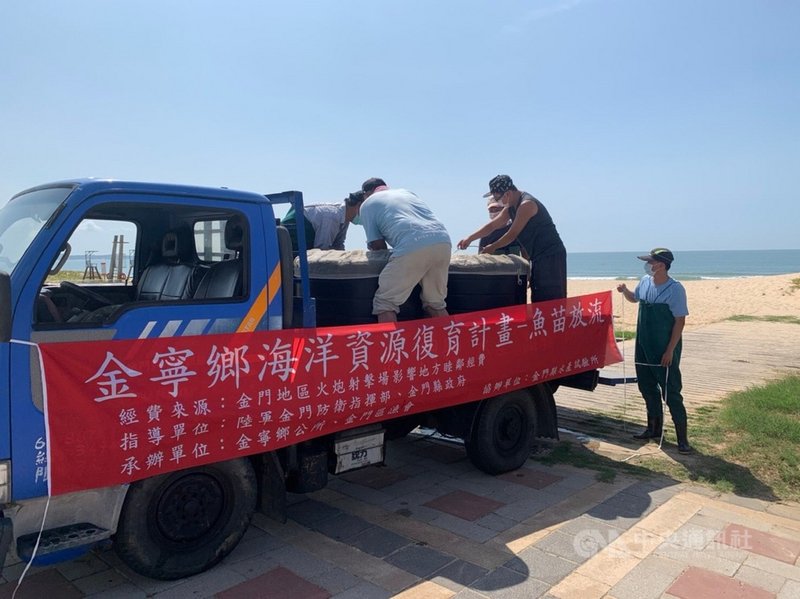面對全球暖化及環境變遷等因素,海洋漁業資源有降低趨勢,漁業資源的保育工作需要政府與全民齊心協力共同完成,金門縣金寧鄉公所人員3日在后湖海邊放流黑棘鯛魚苗。(金寧鄉公所提供)中央社記者黃慧敏傳真 110年8月3日