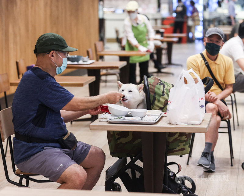 台北101購物中心美食街3日開放內用,有民眾帶著愛犬前往用餐,戴著口罩餵毛小孩吃飯。中央社記者鄭清元攝 110年8月3日