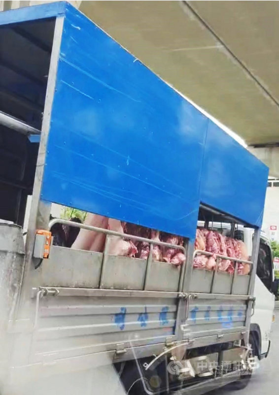 台中市有民眾在下班途中發現貨車車斗兩旁掛著生鮮豬肉,業者在布滿廢氣、灰塵路上毫無遮蔽地運送,民進黨籍市議員林祈烽、施志昌4日在議會質詢時提出質疑。台中市農業局表示,會輔導攤商改進。(林祈烽提供)中央社記者趙麗妍傳真 110年8月4日