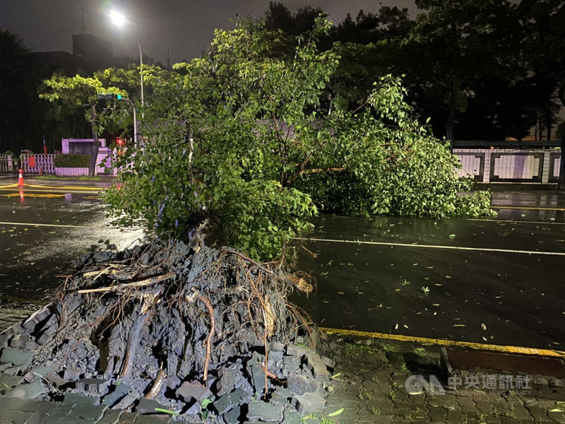 高雄市7日凌晨起風雨不斷，左營區路樹倒塌、交通標誌傾倒，警方徹夜管制排除。（高市左營警分局提供）中央社記者蔡孟妤傳真 110年8月7日