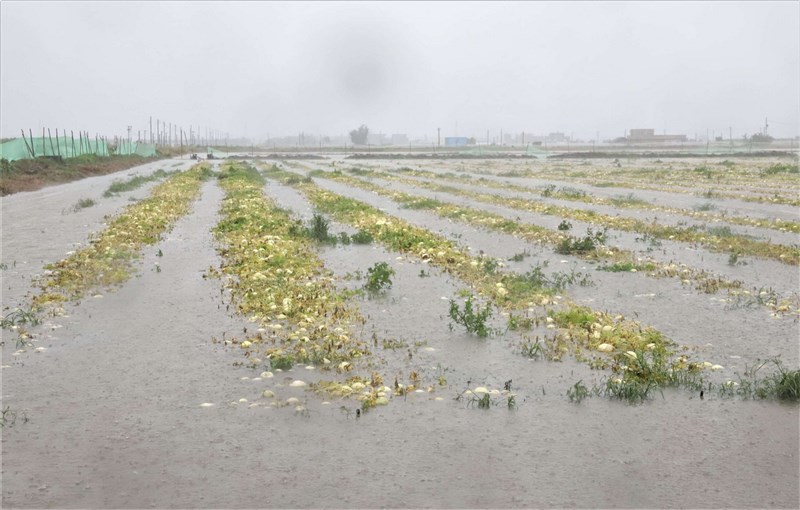 雲林縣受近日西南氣流豪雨影響,農田泡水,農作物損失逾新台幣4000萬元。(雲林縣政府提供)中央社記者姜宜菁攝 110年8月7日