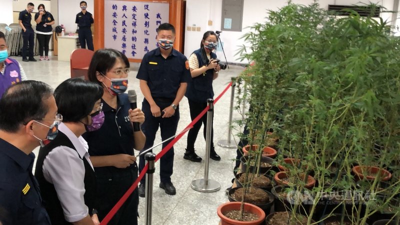彰化檢警破民宅毒品工廠逮4人扣275株大麻 社會 中央社cna