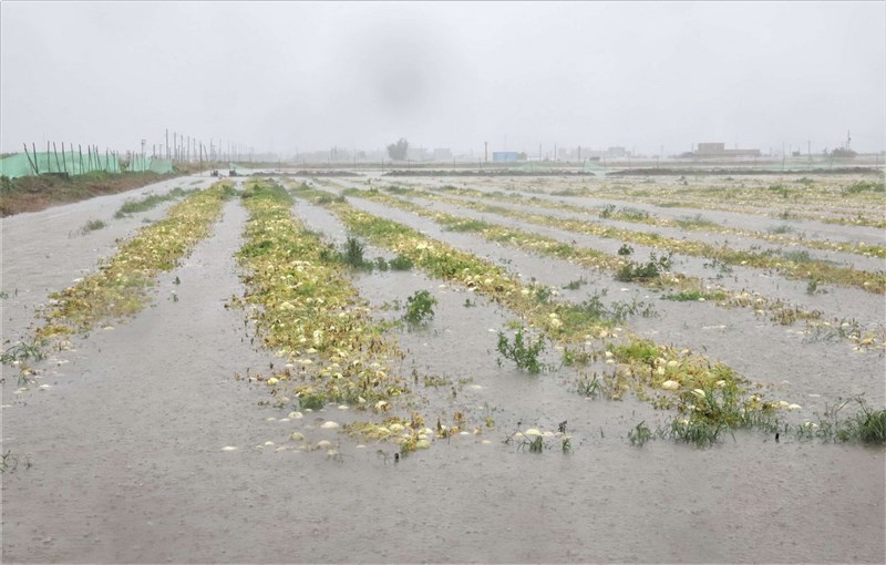 雲林縣受近日西南氣流豪雨影響，農田泡水，農作物損失逾新台幣4000萬元。（雲林縣政府提供）中央社記者姜宜菁攝 110年8月7日