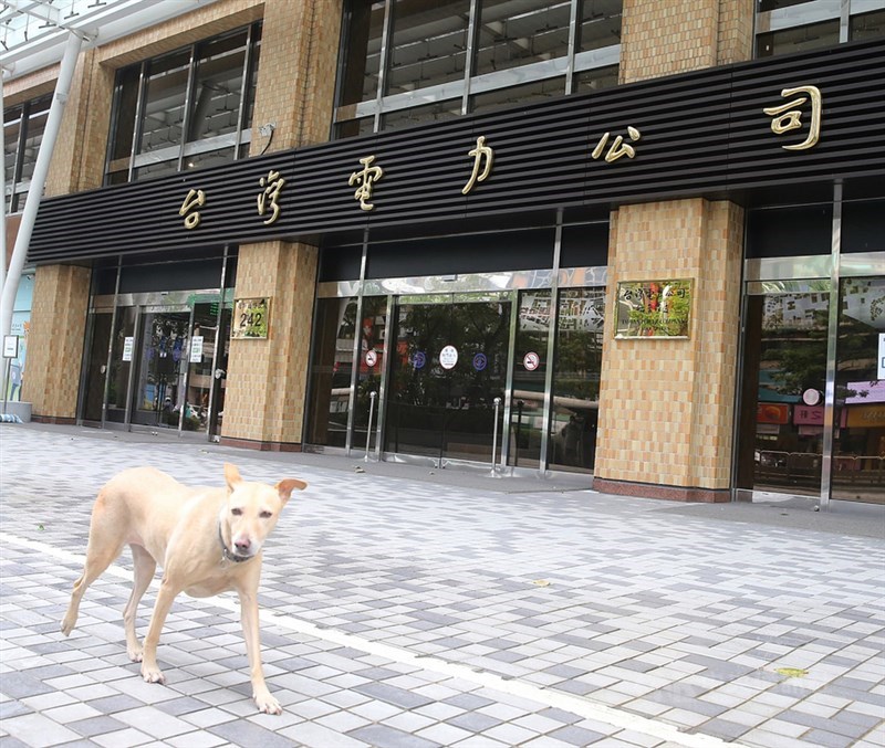 台電全員快篩1陽性複驗確認pcr陰性 更新 生活 重點新聞 中央社cna