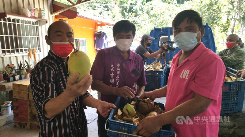 南橫明霸克露橋日前遭沖毀,山區居民交通受阻,當地布農族人20日越過中央山脈到台東利稻部落,接收花東地區族人伸援贈送活豬、白米等民生物資,來自高雄桃源地區的族人則帶來芒果分享。中央社記者盧太城台東攝 110年8月20日