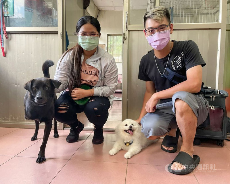 屏東縣長潘孟安21日提及一隻被捕獸鋏夾傷、送到中途之家的3腳流浪狗暖心故事,並指出縣府今年3月起攜手店家打造中繼收容站,讓毛小孩們在店裡耍可愛服務大家,盼提升領養率,目前已有8間合作店家。(屏東縣政府提供)中央社記者郭芷瑄傳真 110年8月21日