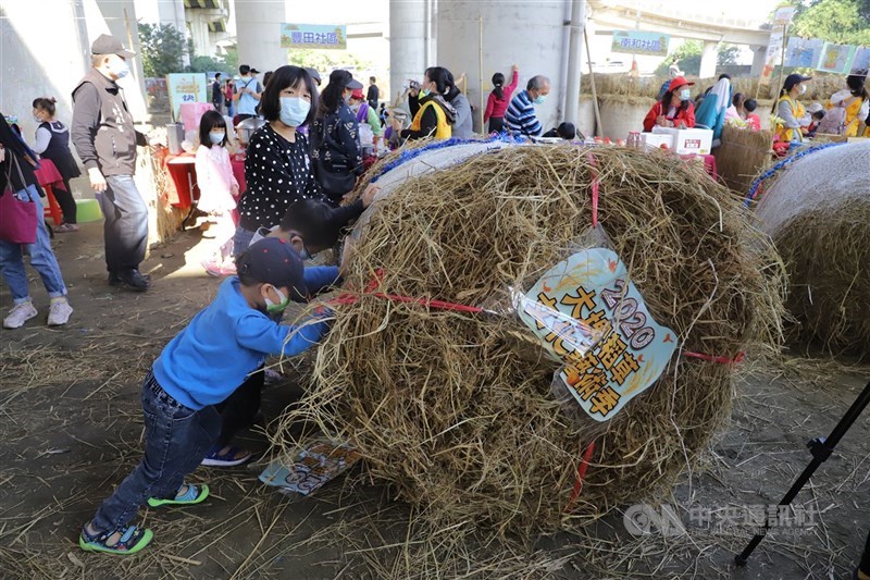 農委會24日表示,農遊券金額會比去年的新台幣250元高。圖為雲林縣稻草藝術節。(中央社檔案照片)