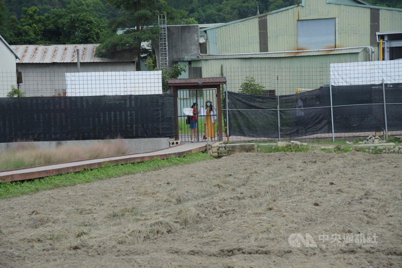 南投集集鎮一處農地種植粉黛亂子草遭農委會要求移除,業者31日持續進行鏟除作業,上午有民眾想要進入欣賞粉黛亂子草不得其門而入。(民眾提供)中央社記者吳哲豪傳真 110年8月31日
