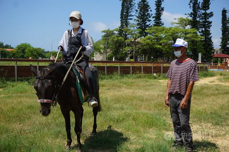 金門畜試所騎馬體驗開跑未來將提供馬術教學 地方 中央社cna
