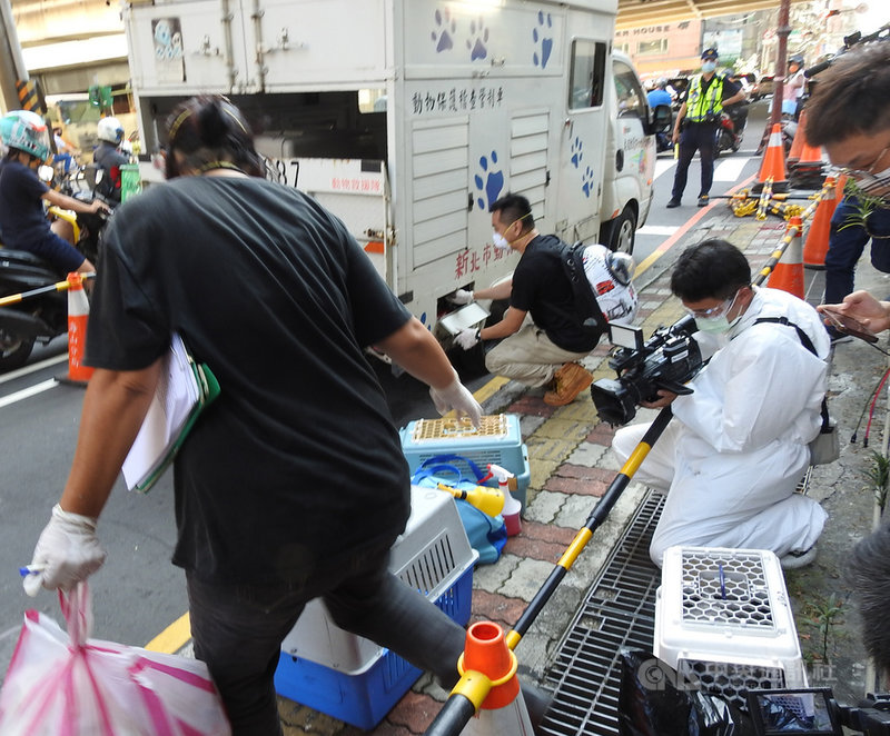 新北市動保處8日下午派員到板橋某社區,協助將隔離檢疫居民的貓狗等毛小孩進行移置,將送到寵物防疫旅館安置。中央社記者王鴻國攝 110年9月8日
