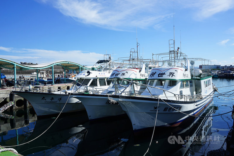 中央氣象局已針對颱風璨樹發布海上及陸上颱風警報,花蓮港10日午後漁船、賞鯨船紛紛進港避風,做好防颱措施。中央社記者張祈攝 110年9月10日