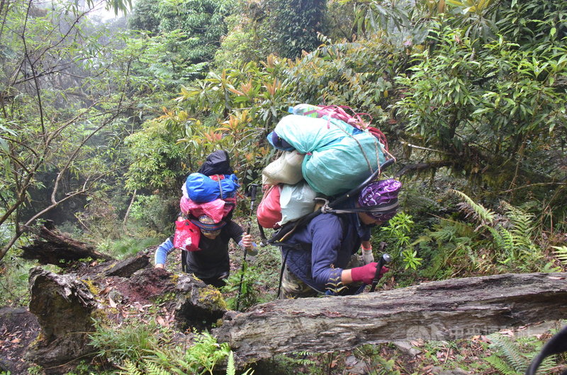 過去高山協作員負重沒有標準,經常被要求要揹60、70公斤,工作沒幾年膝蓋就受傷。勞動部近日擬訂首份高山協作勞動指引,建議揹負重量以30公斤為原則。中央社記者盧太城台東攝 110年9月10日