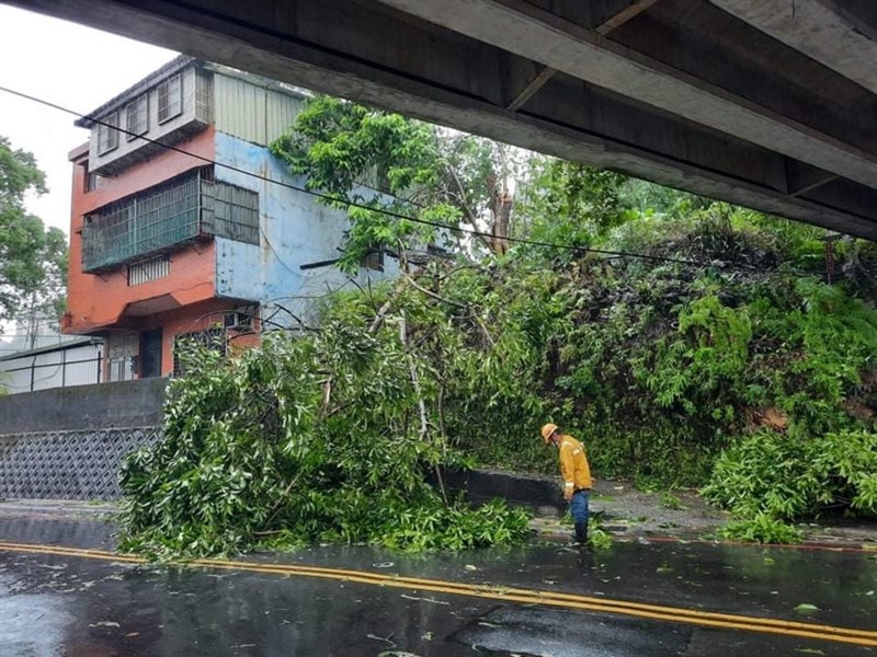 颱風「璨樹」北移,基隆市12日中午過後風雨增強,基隆災害應變中心接獲共8起通報,其中,中和路往高速公路的平面道路上有路樹倒塌壓到電線,占據1線車道,市府已派員前往處理。(基隆市議員張秉鈞提供)中央社記者王朝鈺傳真 110年9月12日