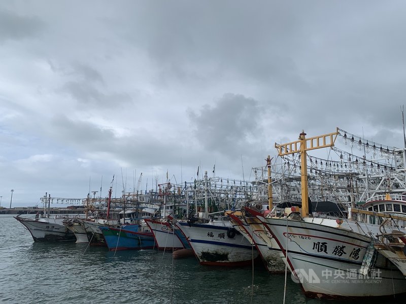 為躲避颱風璨樹外圍環流,15艘掛滿集魚燈的船停靠福澳港,有民眾好奇馬祖的「海上光害」是否混合台籍船。海巡署金馬澎分署表示,15艘我國籍小卷船作業區為東引海域,依規定須距岸3海浬,燈具以白、黃光為主,每年漁業署驗船針對漁業燈火有所規範。中央社記者邱筠攝 110年9月13日