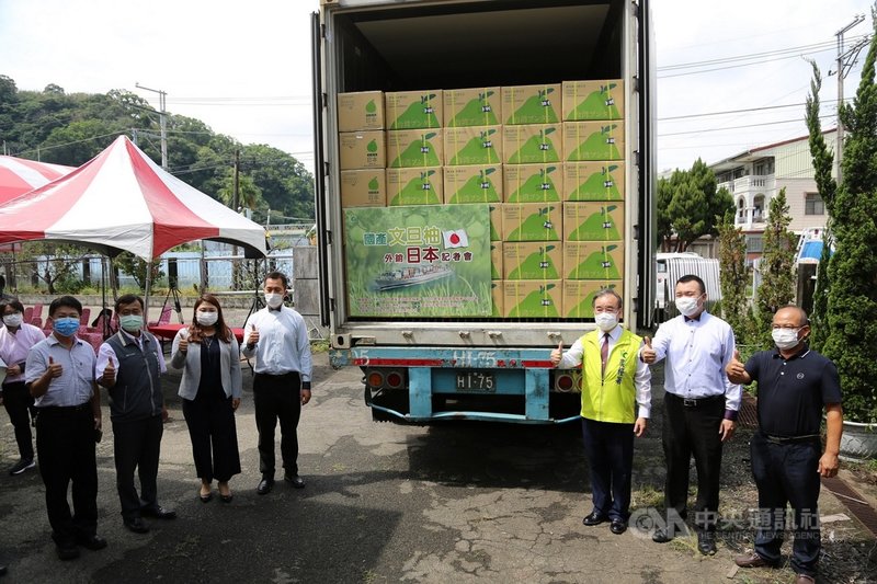 台灣文旦品質優良,成功打開日本市場,首批文旦13日裝櫃,農糧署表示,預計輸日50公噸以上,將在日本連鎖超市上架販售。(農糧署提供)中央社記者郝雪卿傳真 110年9月13日