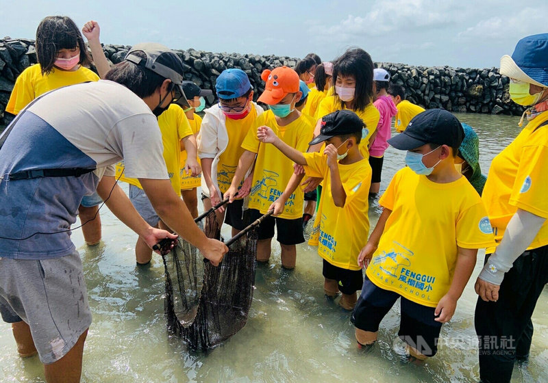 澎湖風櫃、合橫2所海洋實驗小學師生體驗吉貝石滬之美,除透過石滬文化館導覽、生態解說與DIY簡易造滬外,也下海實地體驗石滬捕魚漁技,收穫滿滿。(澎管處提供)中央社 110年9月17日