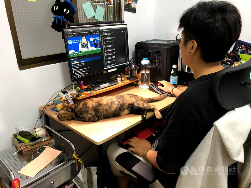 擔任新北市疫情記者會聽打員兼督導的莊雅筑,先前協助中央流行疫情指揮中心直播記者會的AI即時字幕修正,提升準確度。(中華民國聲暉聯合會提供)中央社記者江慧珺傳真 110年9月18日