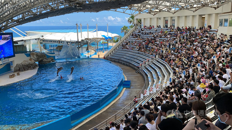 中秋4天連假開跑,花蓮地區外地遊客增加,知名景點遠雄海洋公園連假首日18日上午入園人數就超過2000人,大小朋友一同欣賞精彩水上演出。(業者提供)中央社記者張祈傳真 110年9月18日