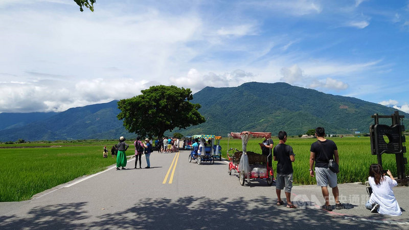 中秋節連假第2天,台東知名景點均出現人潮,池上金城武樹和伯朗大道人潮也回到5成。(台東縣警察局關山分局提供)中央社記者盧太城台東傳真 110年9月19日