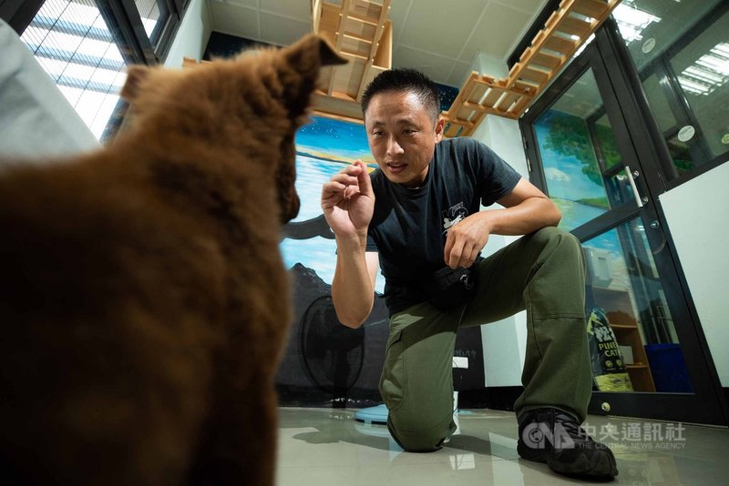 前憲兵首席領犬員劉信宏退役後於南投動物收容所擔任志工,並以軍中所學矯正偏差的動物行為,提升送養率。中央社記者游凱翔攝 110年9月20日