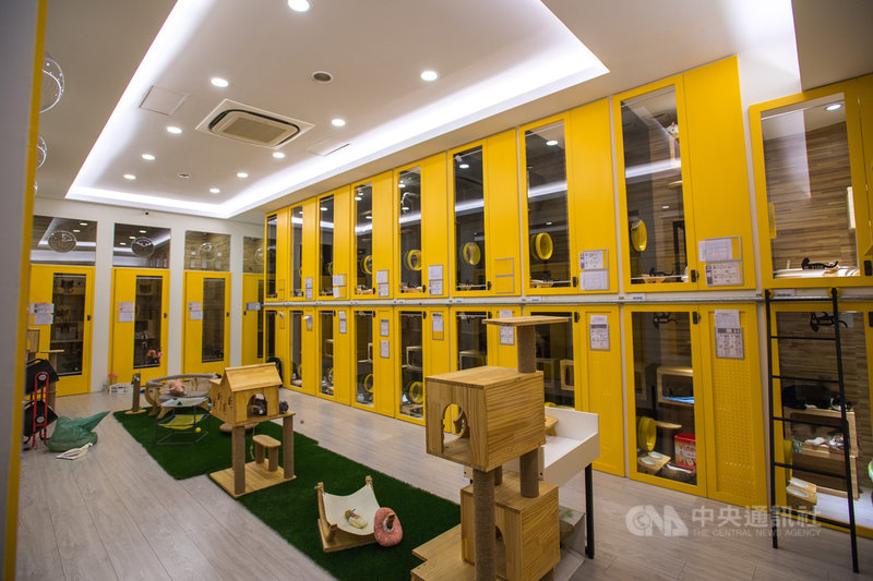 台南市動物防疫保護處20日表示,申辦寵物友善空間標章業者做好準備,歡迎飼主帶著毛孩們同遊府城,共享歡樂時光。圖為寵物業者寄養寵物環境。(台南市政府提供)中央社記者楊思瑞台南傳真 110年9月20日