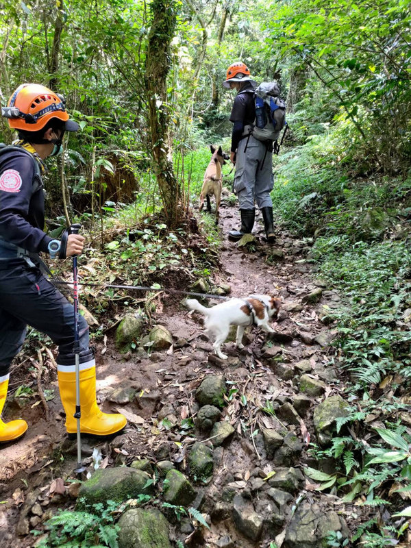 7旬老翁獨自登山失蹤第4天發現疑似墜落地點 社會 中央社cna