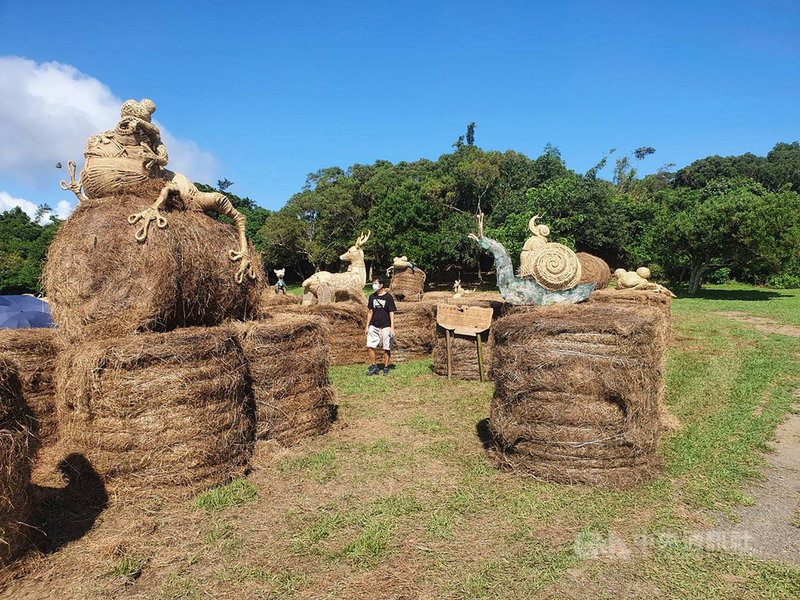 墾丁國家公園管理處表示,為歡迎大家在群鷹飛揚季節到恆春半島體驗自然與藝術之美,墾管處委請在地藝術家製作恆春半島特色生物的地景藝術,舉辦「鷹為有你」特展,秋節連假吸引民眾到訪。(墾管處提供)中央社記者郭芷瑄傳真 110年9月21日