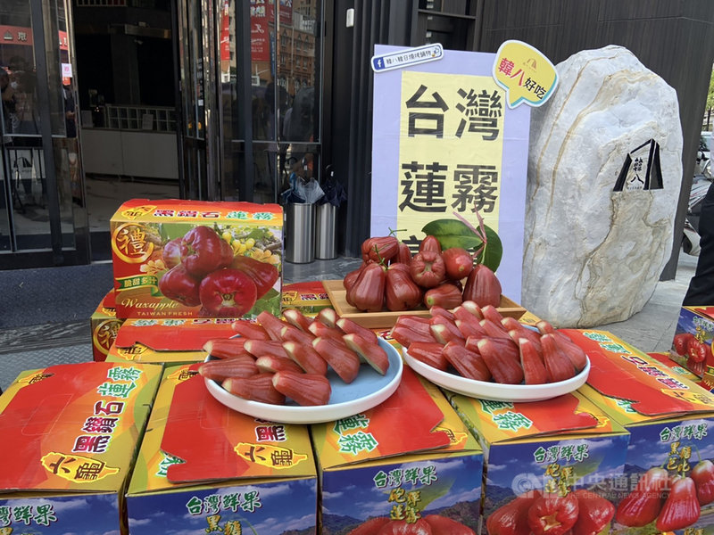 蓮霧盛產季還沒到,高雄市政府22日搶先啟動鼓勵民眾與企業團購蓮霧,媒合業者認購蓮霧,盼助解決短期間部分蓮霧外銷受阻的燃眉之急。(高雄市政府提供)中央社記者洪學廣傳真 110年9月22日