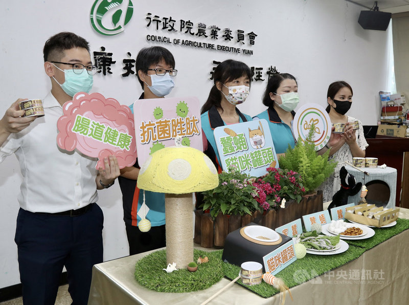 農委會苗栗農業改良場22日在農委會舉行記者會宣布,苗改場利用家蠶的特殊免疫特性,成功研發出「蠶蛹配方」貓罐頭。苗改場表示,經養貓飼主自願受試調查,有超過70%貓咪接受添加蠶蛹的罐頭。中央社記者張皓安攝 110年9月22日