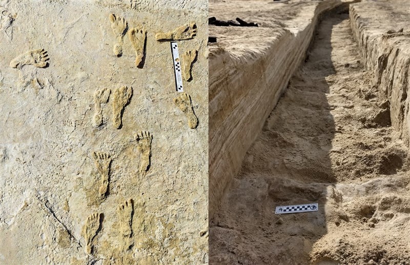 科學家在美國白沙國家公園發現一批可追溯至約2萬3000年前的腳印化石,意味人類早在最後一個冰河時期結束前就已定居北美。(圖取自美國國家公園管理局網頁nps.gov)