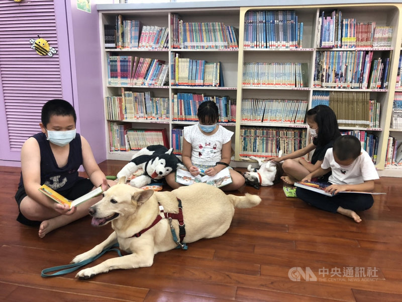 高雄市動物保護處訓練收容所的流浪犬成為「伴讀書僮」,25日到圖書館陪伴孩童閱讀。動保處表示,盼更多民眾理解動保知識與飼主責任重要性。(高雄市動保處提供)中央社記者蔡孟妤傳真 110年9月25日