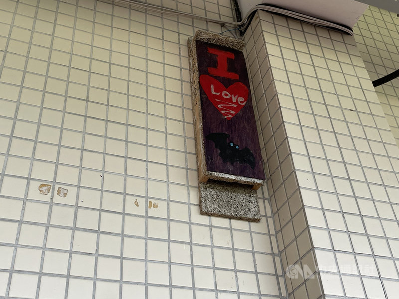 花蓮縣光復鄉西富國小師生投入蝙蝠保育,不只在校園裡設置逾20個蝙蝠屋(圖),也從教室走向社區,說服附近稻農減少農藥用量,保護吃害蟲的蝙蝠,從友善蝙蝠校園擴大為蝙蝠友善社區。中央社記者張祈攝 110年9月25日