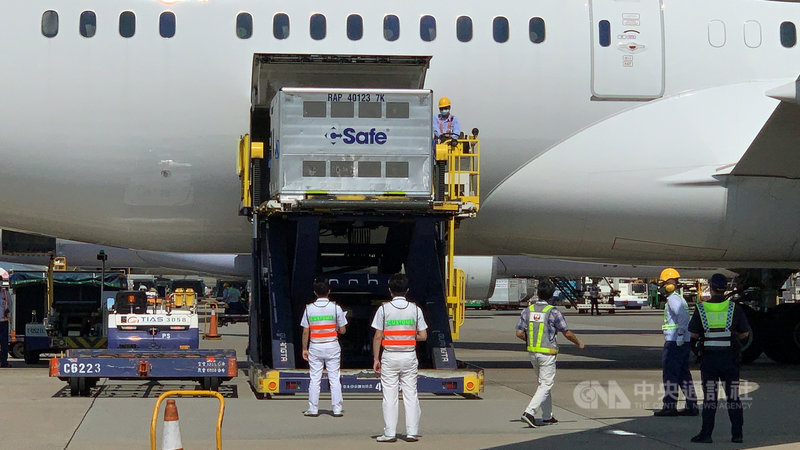 日本第5度援贈台灣的50萬劑AZ疫苗,25日下午運抵桃園國際機場,裝載在2個溫控貨櫃中的疫苗,由地勤人員進行卸貨。中央社記者葉臻攝 110年9月25日