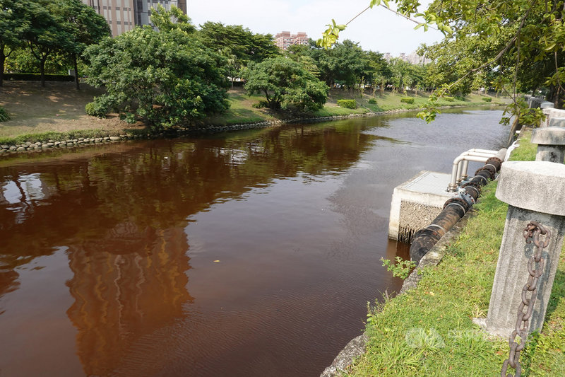 高雄市愛河龍華橋及願景橋間的河水,近日呈紅褐色,高市府環保局檢測發現,是藻類增生導致河水變色,屬於正常現象,已在沿岸設置解說告示牌,避免民眾恐慌。(高雄市環保局提供)中央社記者蔡孟妤傳真 110年9月26日