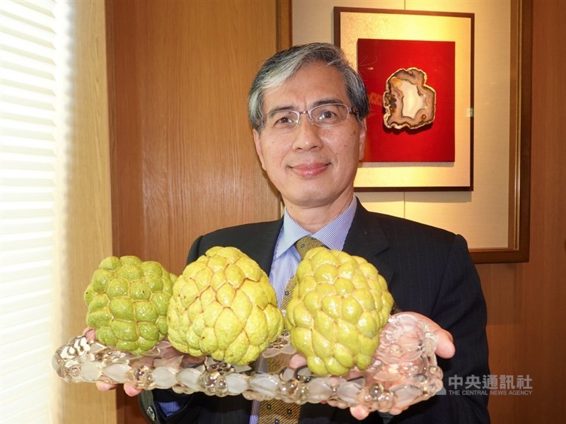 台貿中心東京事務所所長陳英顯表示,台灣釋迦是「水果界的LV」,在日本有一定的購買力,台灣暫時不追求量大,而是追求長期穩定供應。中央社記者楊明珠東京攝 110年9月27日