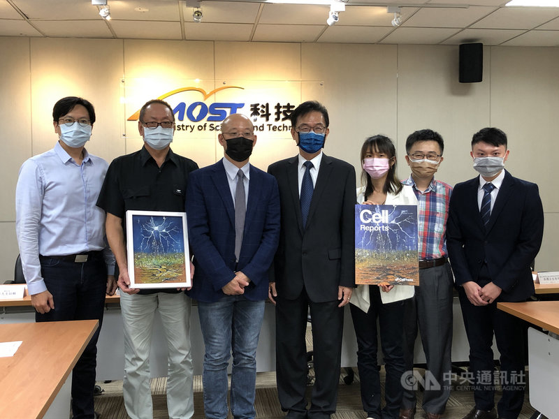 科技部於27日舉行研究成果記者會,陽明交大團隊發現可以活化腦部海馬迴中的苔狀細胞達到降低動物的焦慮行為。圖為科技部生科司司長陳鴻震(左4)、陽明交通大學神經科學研究所特聘教授連正章(左3)、博士生與論文第一作者王凱誼(右3)、藝術家蔡鈺麟(左2)。中央社記者蘇思云攝 110年9月27日