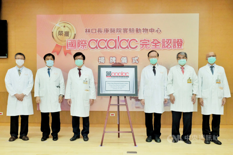 林口長庚醫院實驗動物中心27日舉行揭牌儀式,林口長庚醫院副院長邱政洵(左2)、長庚決策委員會主委程文俊(左3)、長庚醫療財團法人董事會董事陳昱瑞(右3)、林口長庚醫院副院長馮思中(右1)等人出席。中央社記者吳睿騏桃園攝 110年9月27日