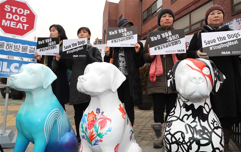 韓國總統文在寅27日要求相關部會研議禁食狗肉方案,加強動物保護管理體系。圖為2018年韓國動物權利組織在街頭舉起反對消費狗肉的牌子。(韓聯社)