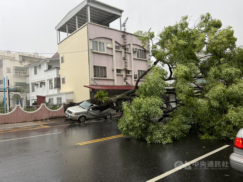 颱風圓規外圍環流影響,花蓮11日上午出現間歇性強風豪雨,花蓮市中山路一棵路樹倒塌,造成一輛自小客車損毀。中央社記者李先鳳攝 110年10月11日