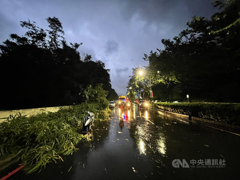 颱風圓規雖未登陸,外圍環流仍帶來風雨,新北市汐止區、新店區皆傳出路樹倒塌災情,皆已排除完畢。(翻攝畫面)中央社記者沈佩瑤新北傳真 110年10月12日