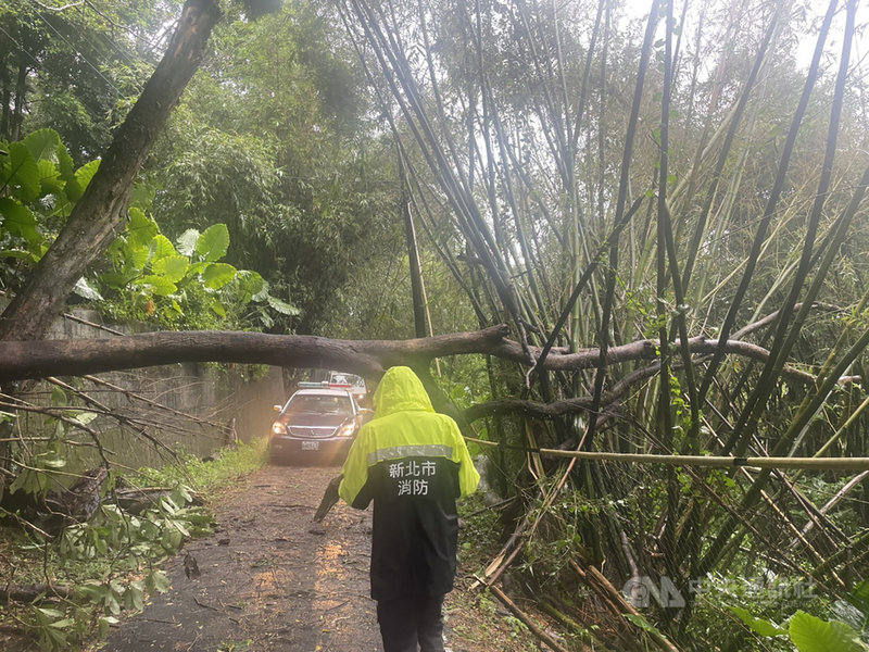未登陸的颱風圓規帶來風雨,新北市汐止區發生20多件災情,包括路樹倒塌、招牌掉落等,新店區也傳零星路樹倒塌,所幸無人受傷,一有通報就馬上清理,以免影響交通。(翻攝畫面)中央社記者沈佩瑤新北傳真 110年10月12日