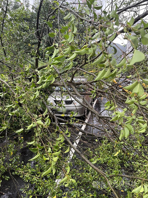 颱風圓規帶來風雨,新北市汐止區發生20多件災情,包括路樹倒塌、招牌掉落等。(翻攝畫面)中央社記者沈佩瑤新北傳真 110年10月12日