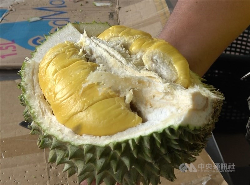 澳洲坎培拉消防人員15日獲報瓦斯外洩,趕往事發商店才發現味道其實是來自榴槤。(中央社檔案照片)